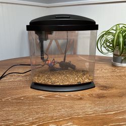 2.5 Gallon Fish Tank
