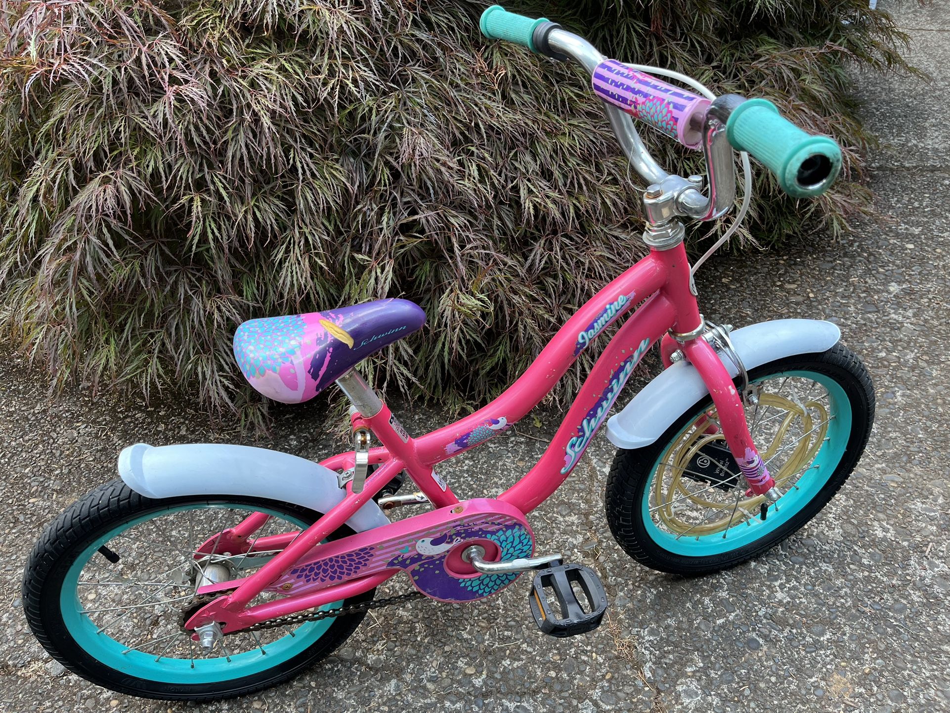 16” Schwinn Bike