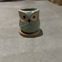 Small Owl Succulent Pot