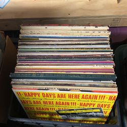 Vinyl Records - Whole Crate