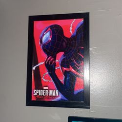 Spider-Man Canvas