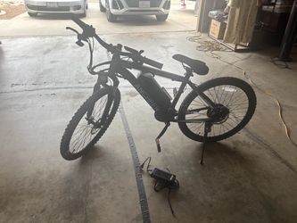 Electric bike