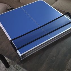 Poertable Ping Pong Table
