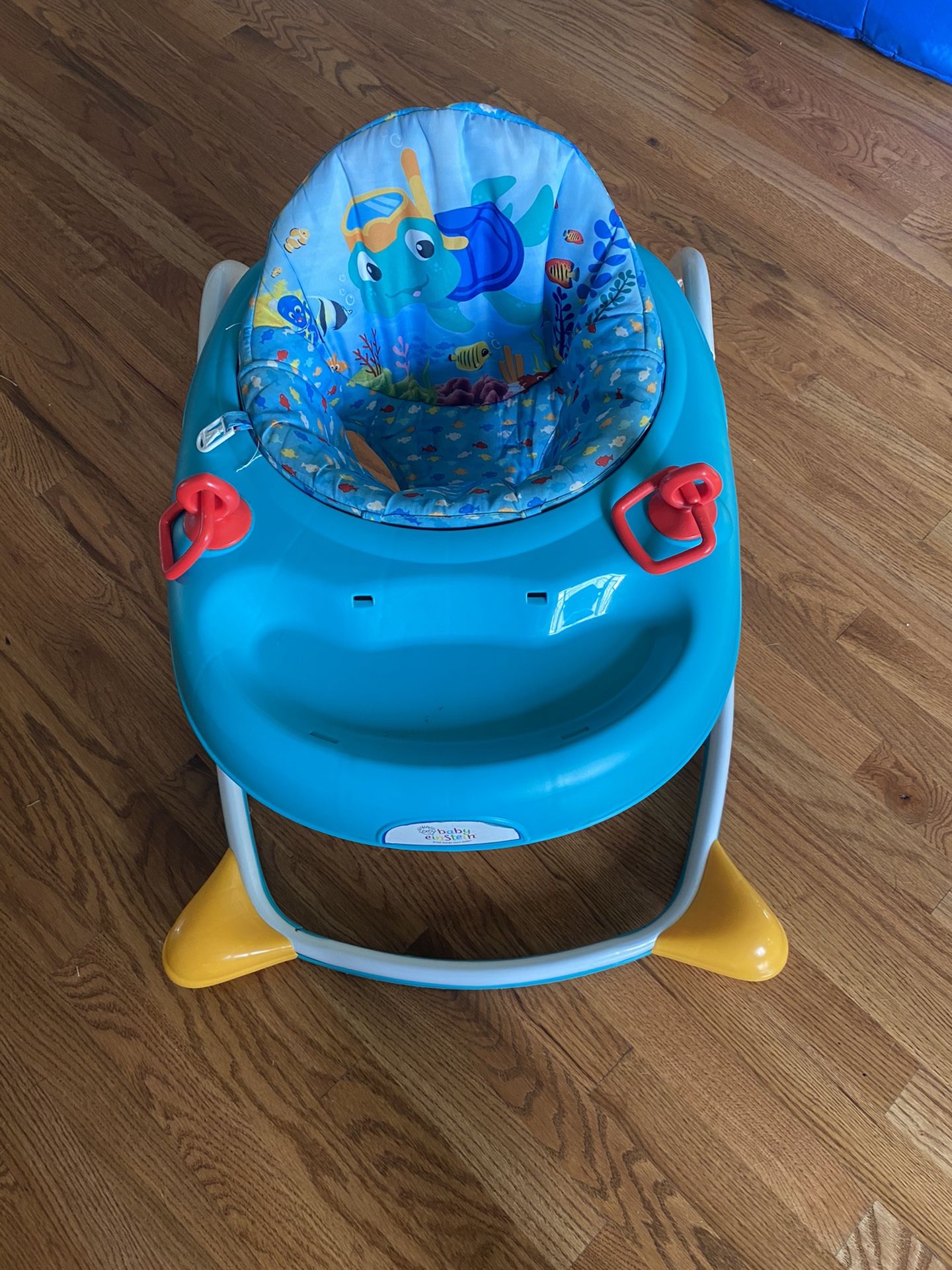 Baby Einstein walker