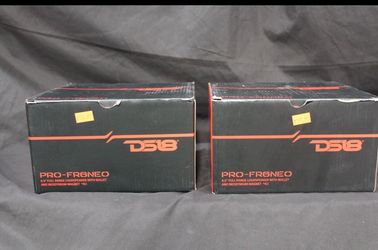 2 DS18 pro-fr6neo