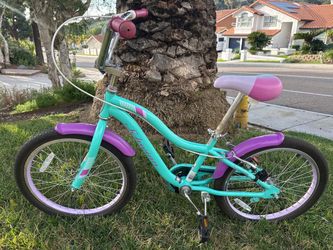 Schwinn 20” Kid Children’s Bicycle Bike Teal Purple