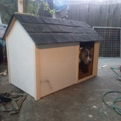 Extra Large Dog House