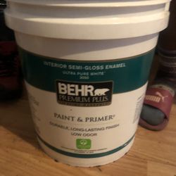 5 Gallon Paint&Primer