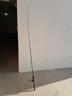 Spinning Rod And Reel