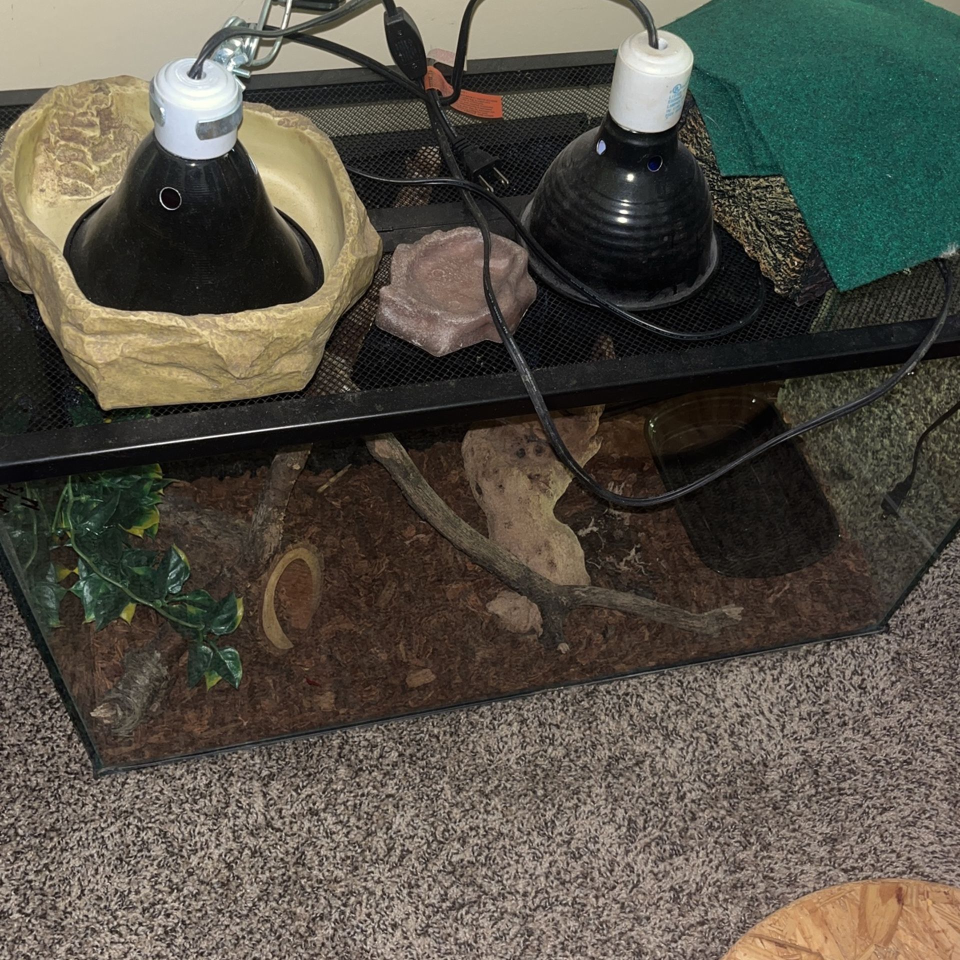 40 smth gal tank