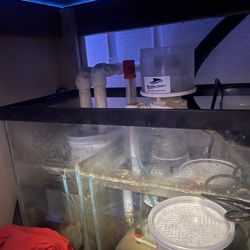 120g Aquarium.