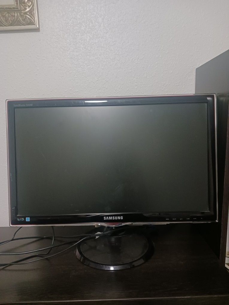 Samsung Computer Monitor 20"