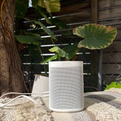 Sonos SL Smart Speaker 