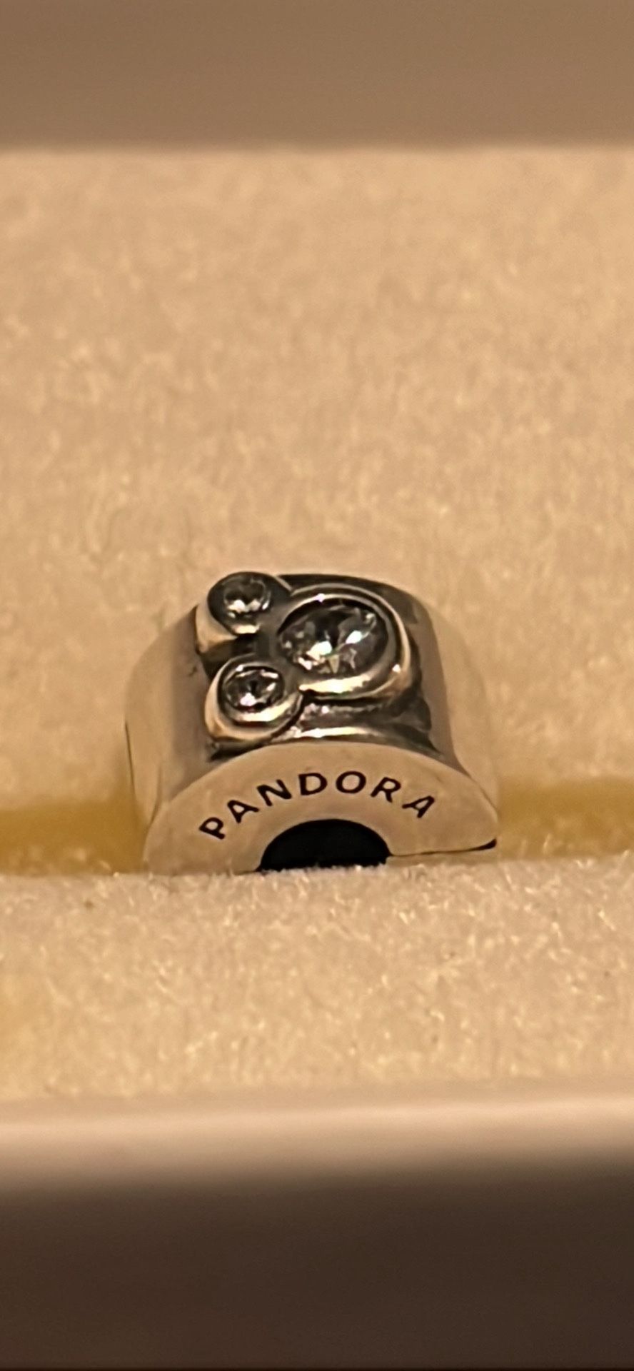 Pandora charm