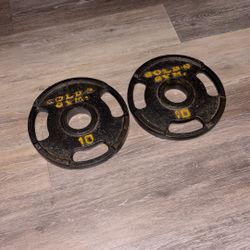 Two 10lb Gold’s Gym Iron Plates