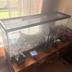 Fish Tank /  Terrarium Make Me A Offer, Need gone today!!!!!