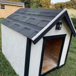 Big Dog House 