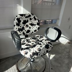 Salon Chair 