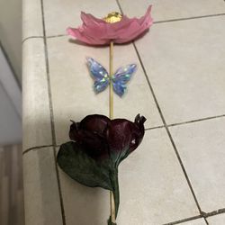 Flower With Chocolate