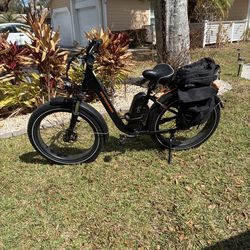 Rad Rover Power Bike