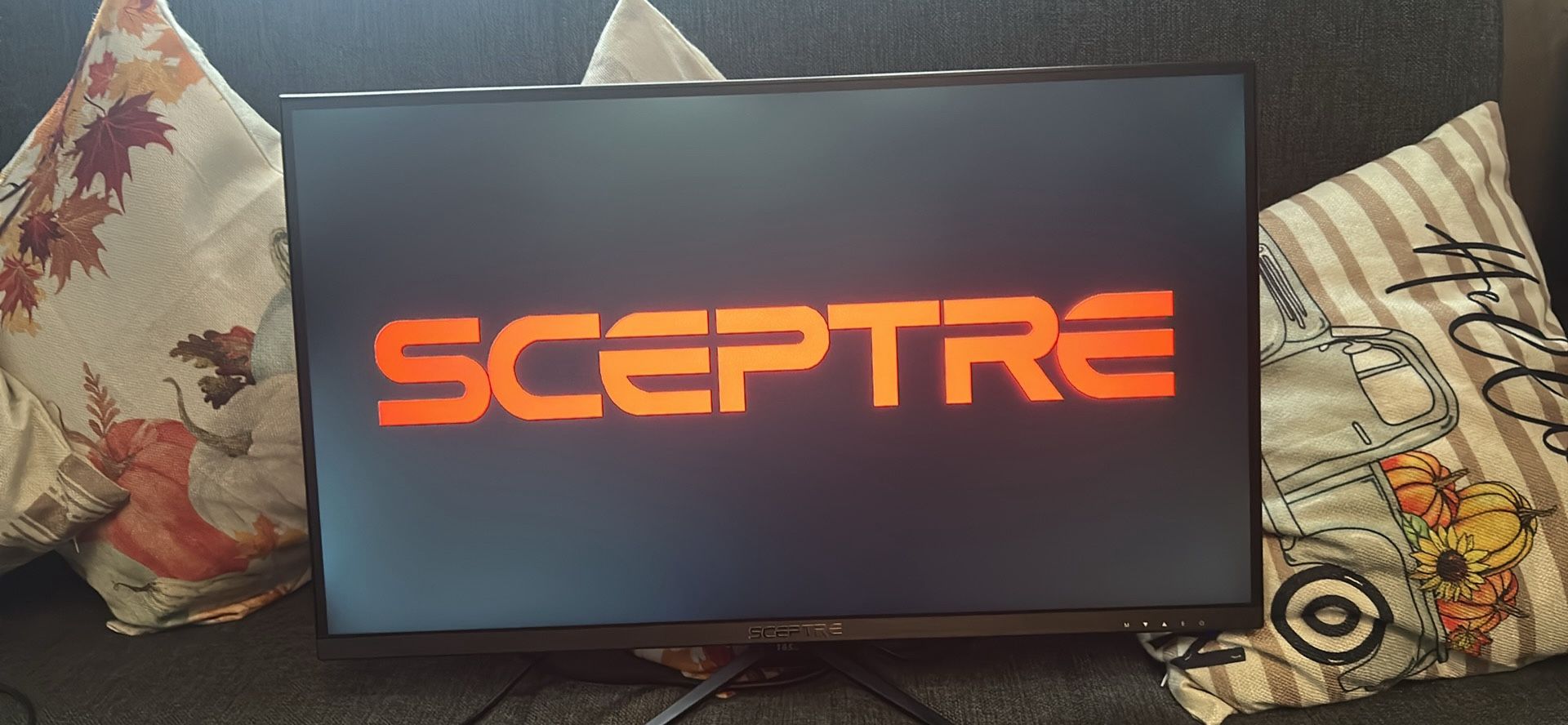Sceptre Monitor 165hz