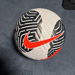 Nike Flight Ball 