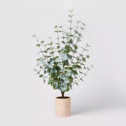 Faux Plant eucalyptus