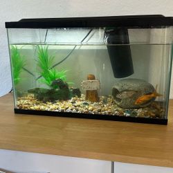 Fish Tank