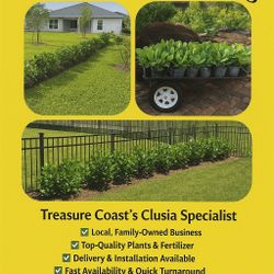 Clusia Plants