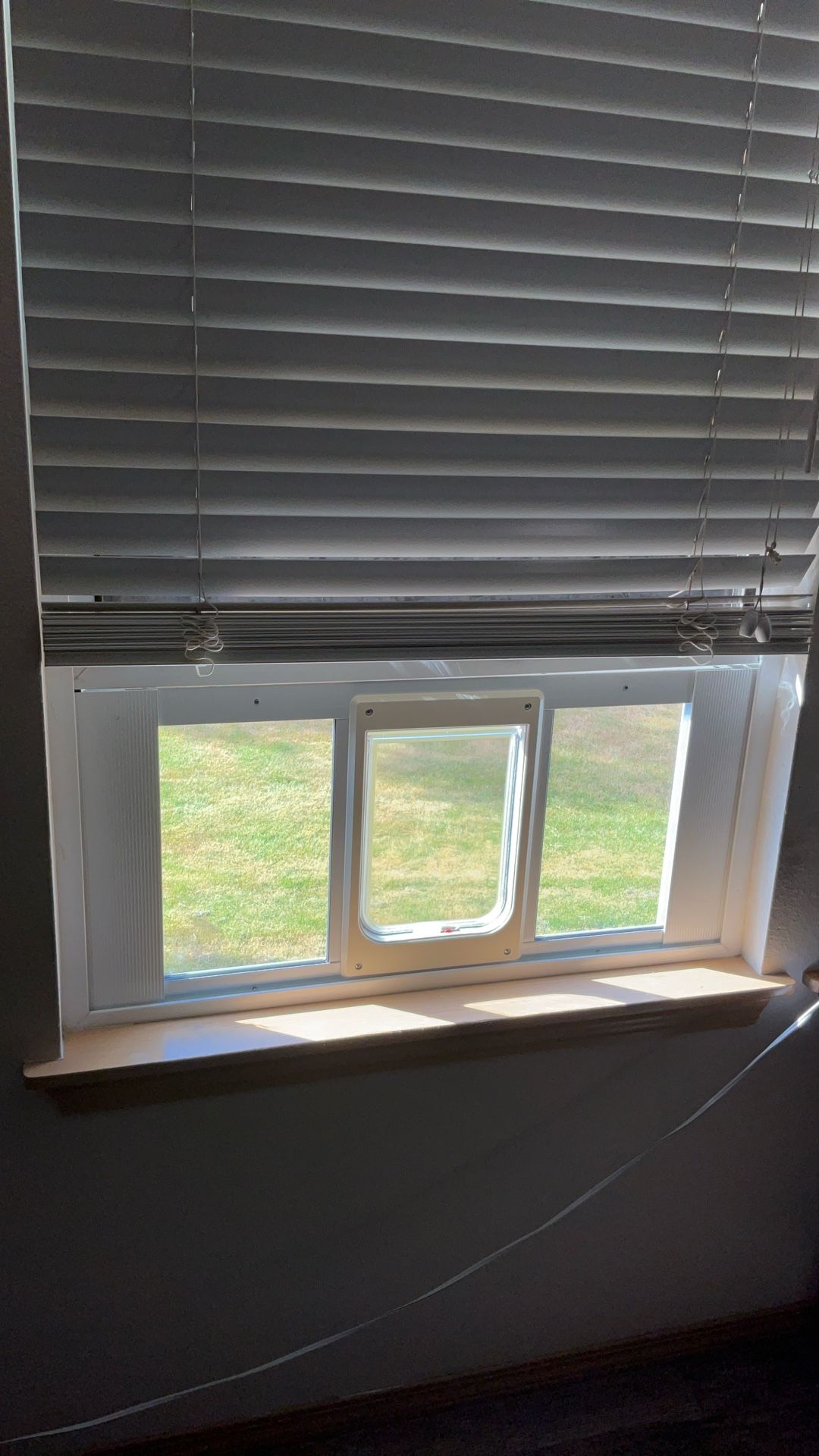Cat Window Flap