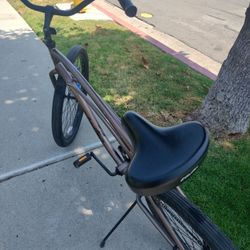 Beach Cruiser