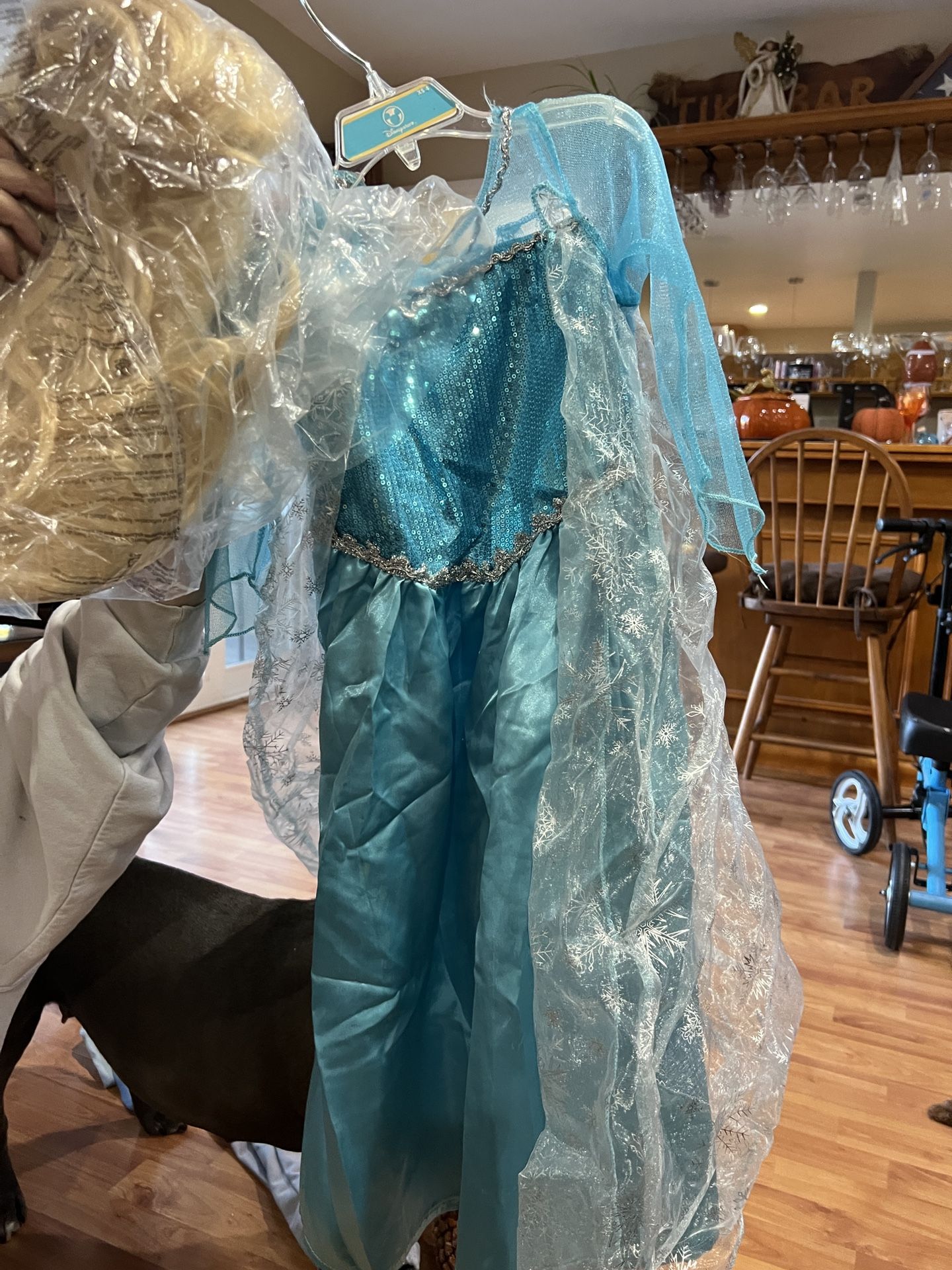 Elsa From Frozen Halloween Costume