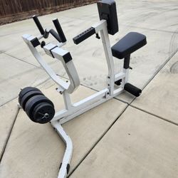 Bicep Curl Bench,  Weights Included