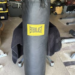 100lb Everlast Punching Bag and Century Stand
