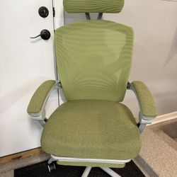 Brand New Green/Gray Tall Back Tall Back Ergonomic Office/Gaming Chair w/Slide Out Footrest 
