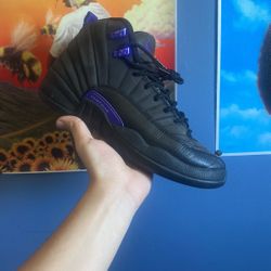 Jordan 12 Dark Concord 