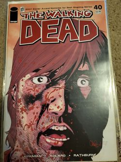 The Walking Dead Comic #40