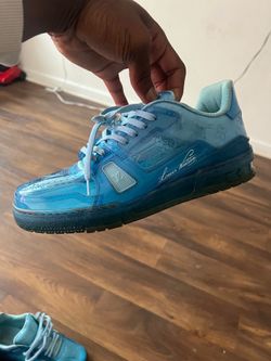Lv trainers and sb dunk