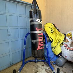 Everlast 100lb Bag And Stand 