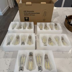 Edison Lightbulbs