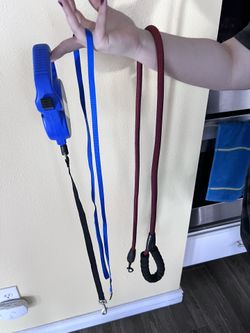 Dog Leashes 