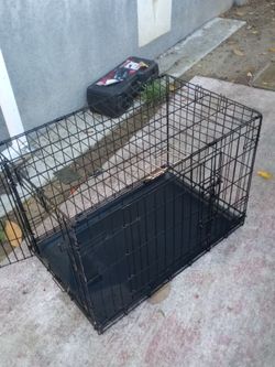 Cage great shape