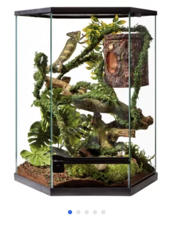 Hexagon Tropical Reptile Terrarium
