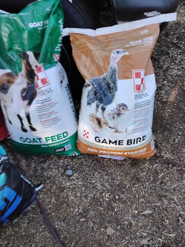 Game Bird Starter Crumbles