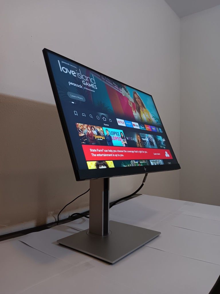 23 In Hp Monitor