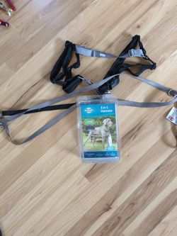 Large Two Point Control Harness 