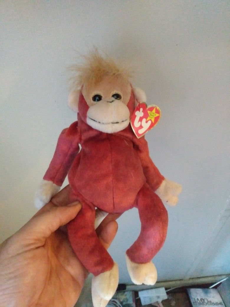 Ty Beanie Baby Collectible