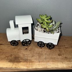 Succulents In Metal Train Planter 