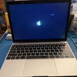 MacBook Retina 12 Inch Early 2016 1.1 GHZ Dual Core Intel Core M3 8 GB RAM & ___