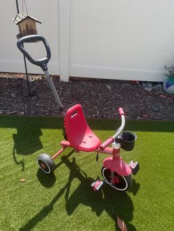 Radio Flyer Push Trike